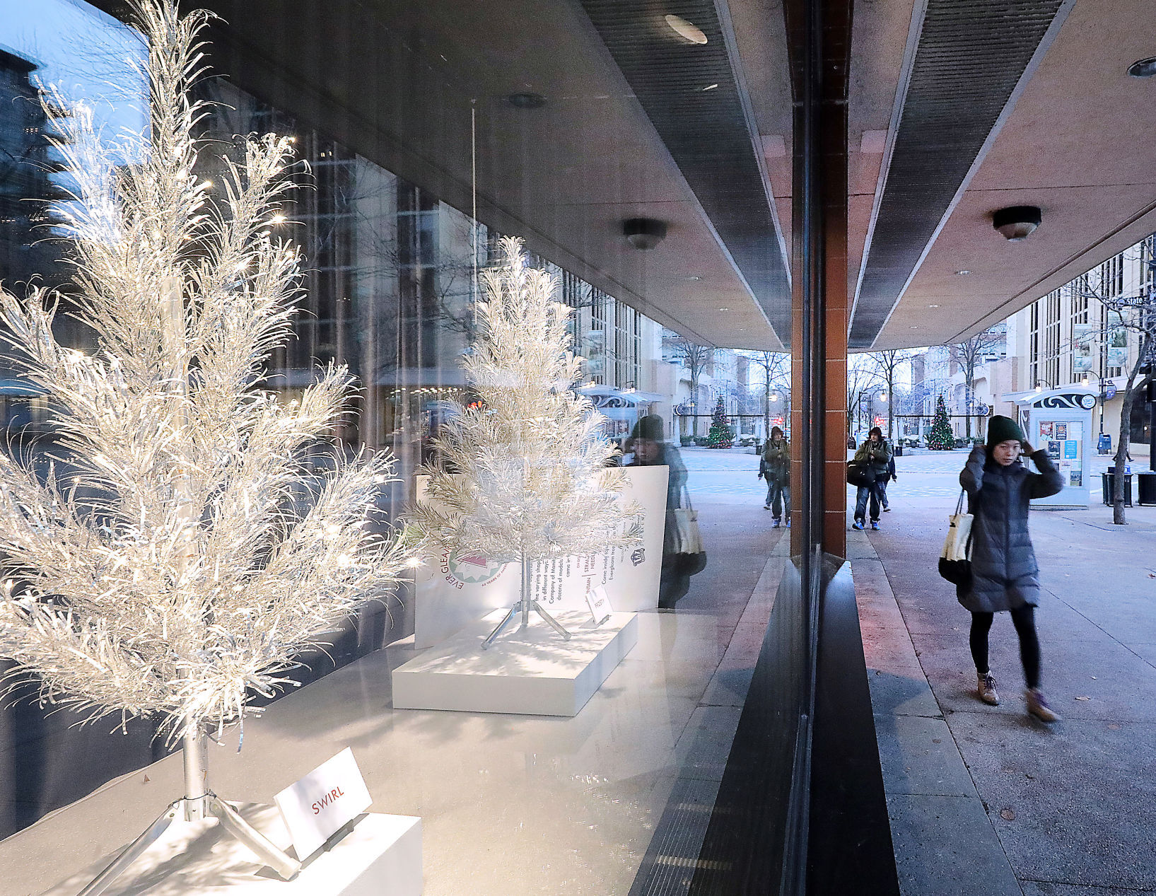 Evergleam tree exhibit